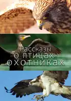  Рассказы о птицах-охотниках смотреть онлайн тв шоу 1 сезон 